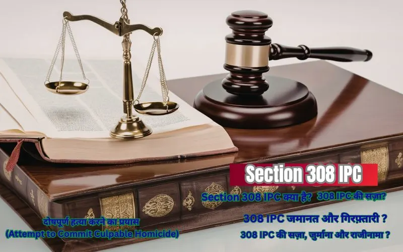 Section 308 IPC