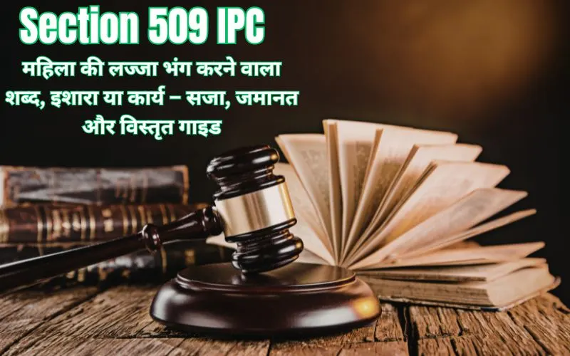 Section 509 IPC