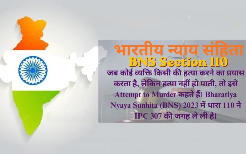 BNS Section 110