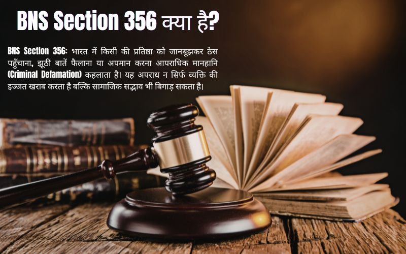BNS Section 356