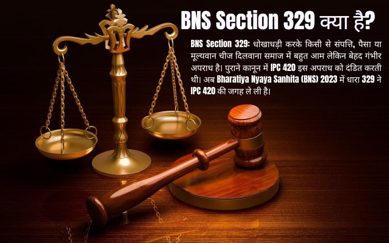 BNS Section 329