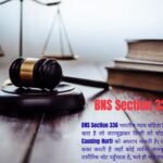 BNS Section 336